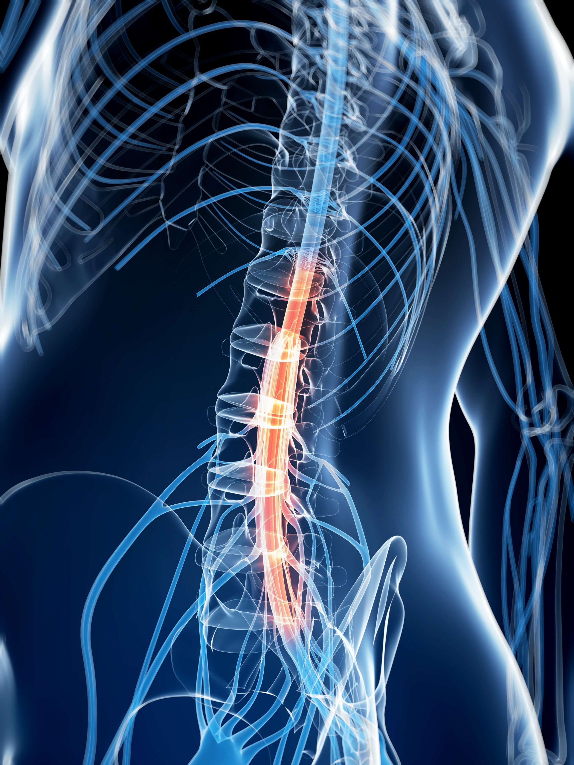 Living with Hip Pain & How Jax Spine & Pain Centers Can Help! - Jax Spine &  Pain Centers